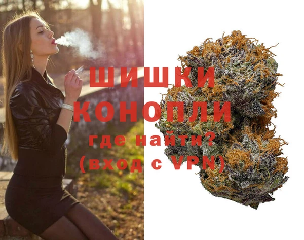мдпв Вяземский