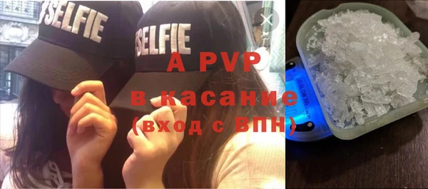 мдпв Вяземский