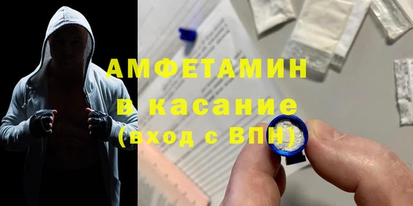 мдпв Вяземский
