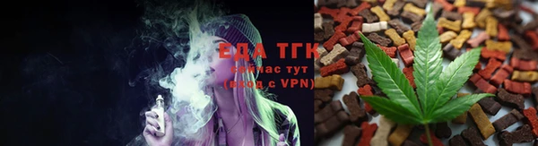 мдпв Вяземский