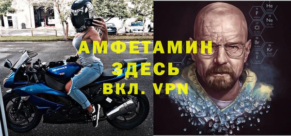 мдпв Вяземский