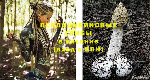 не бодяженный Анива