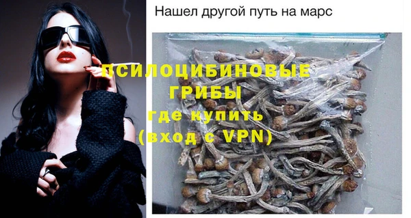 мдпв Вяземский