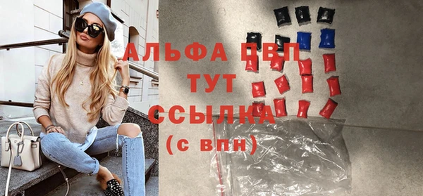мдпв Вяземский