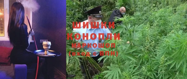 мдпв Вяземский