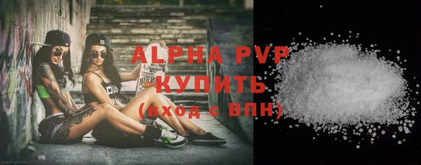 мдпв Вяземский